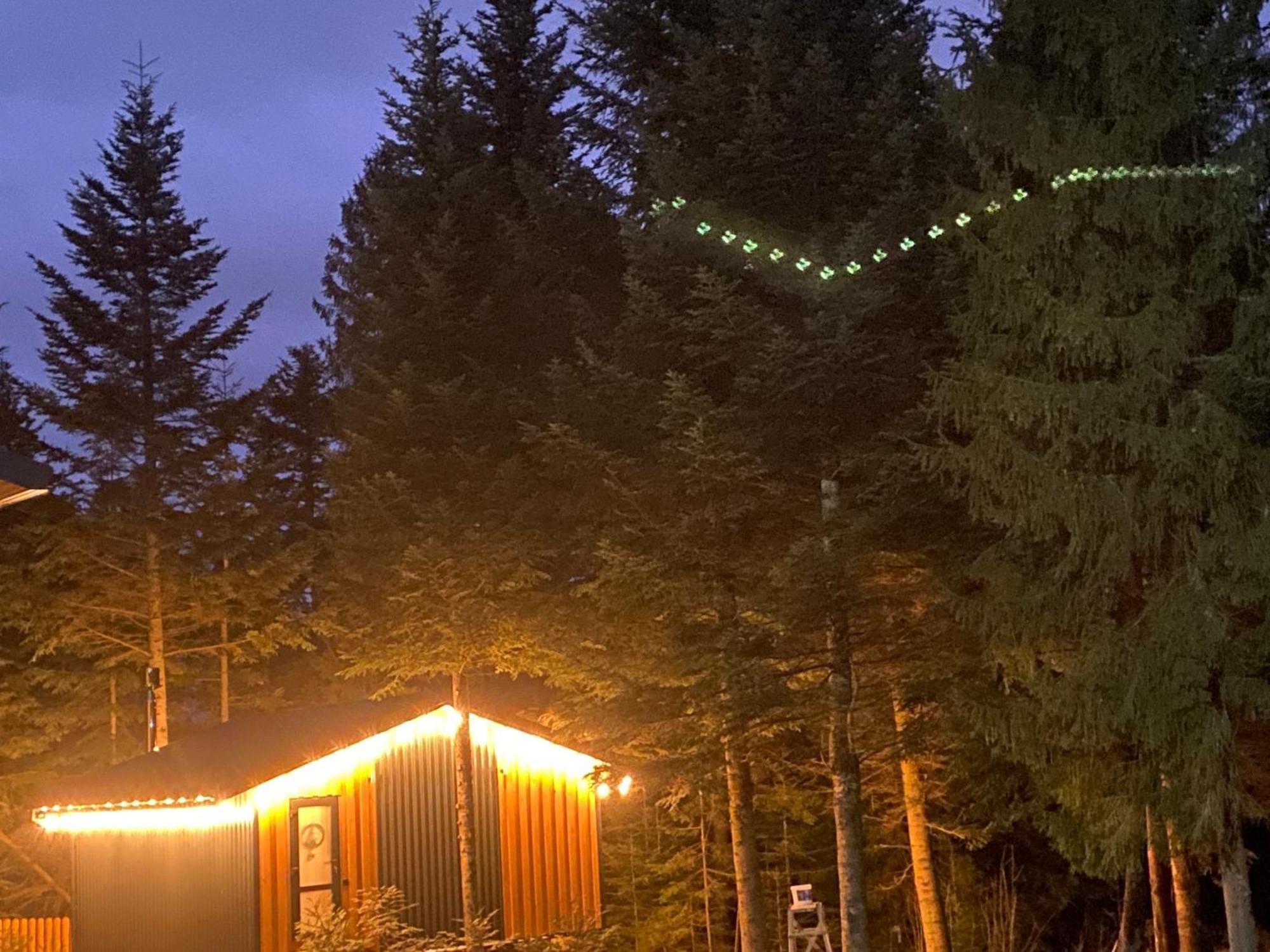 Aparthotel Феєрія Лісу Skhidnytsia Exterior foto